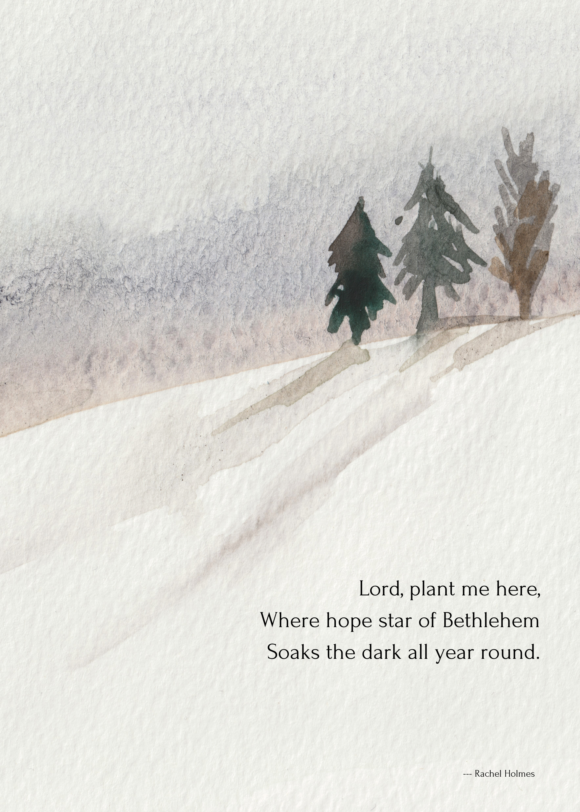 A Christmas gift and a break