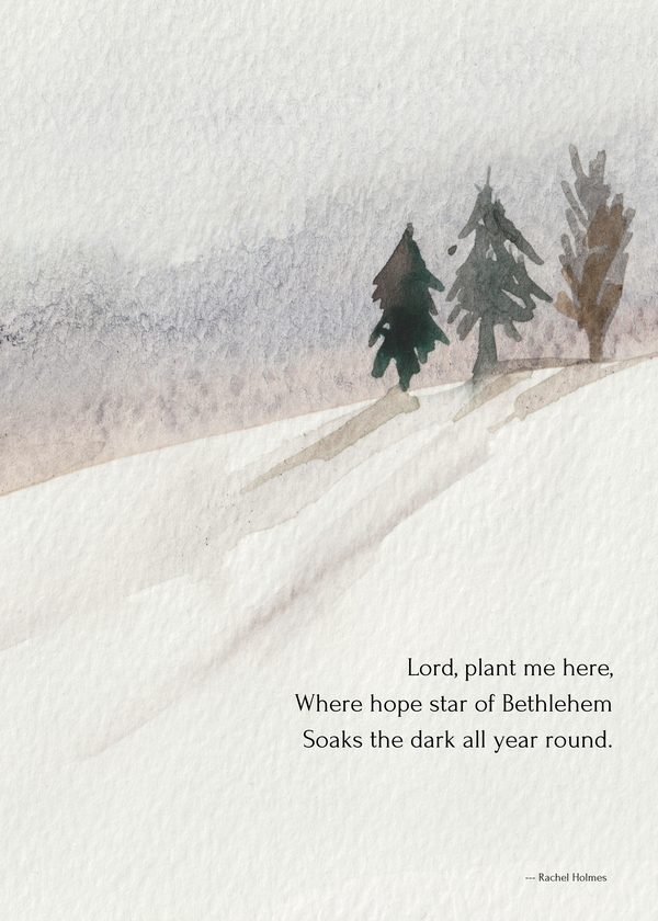 A Christmas gift and a break